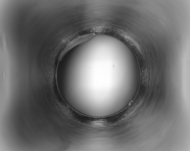 X0000094330505200711021412