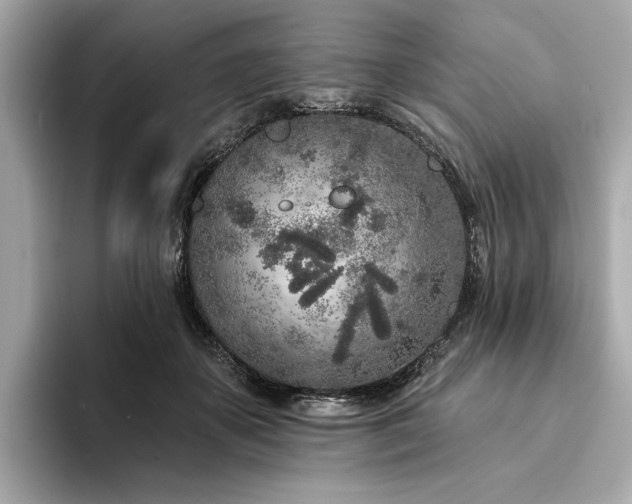 X0000094330507200711021412