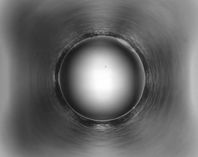 X0000094330508200711021412
