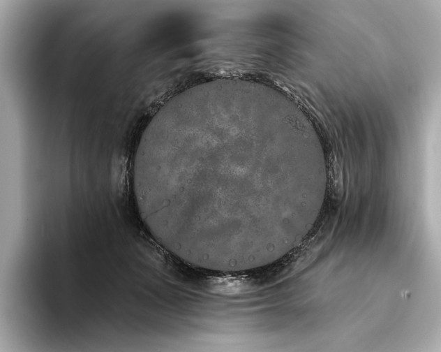 X0000094330511200711021412