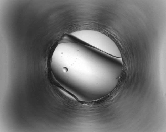X0000094330512200711021412