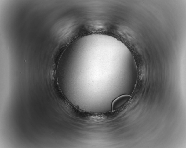 X0000094330515200711021412