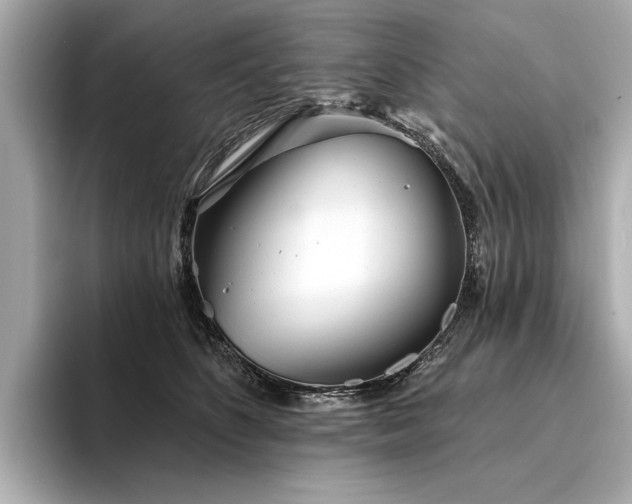 X0000094330516200711021412
