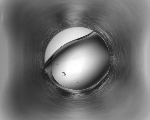 X0000094330517200711021412