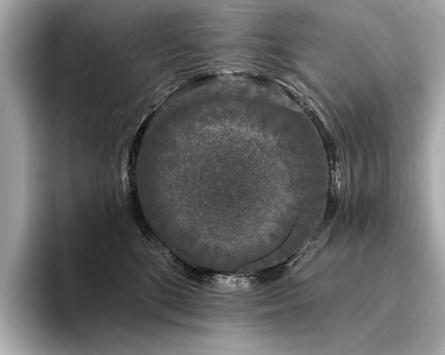 X0000094330520200711021412