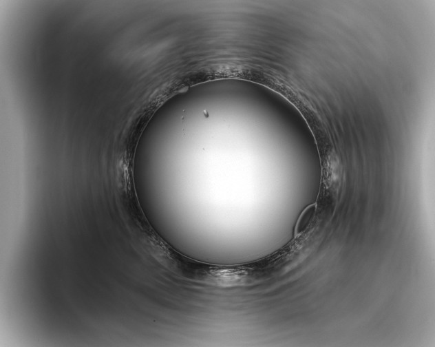 X0000094330522200711021412