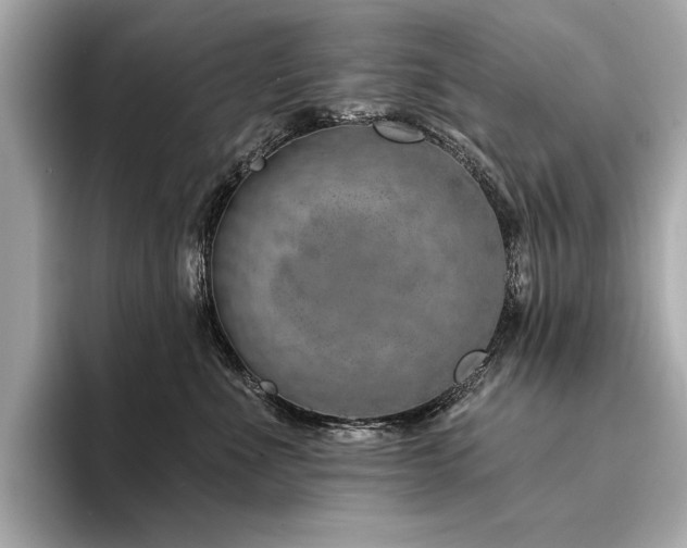 X0000094330523200711021412
