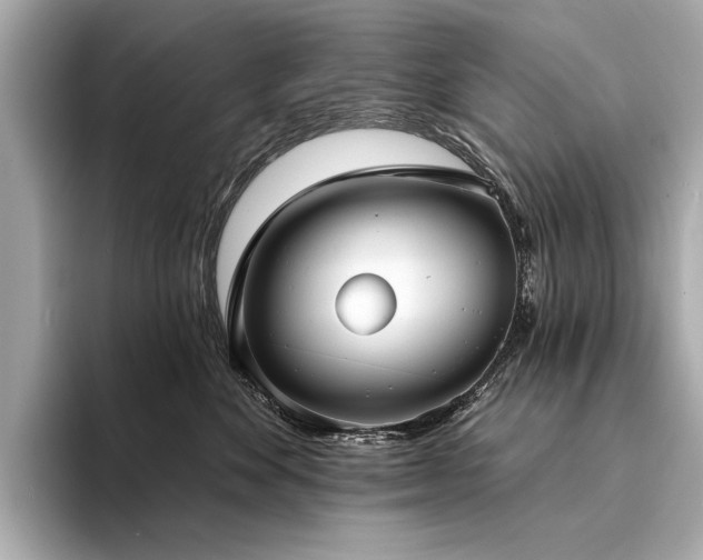 X0000094330524200711021412