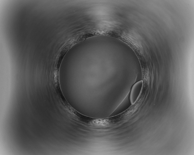 X0000094330526200711021412