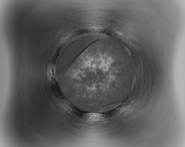 X0000094330528200711021412