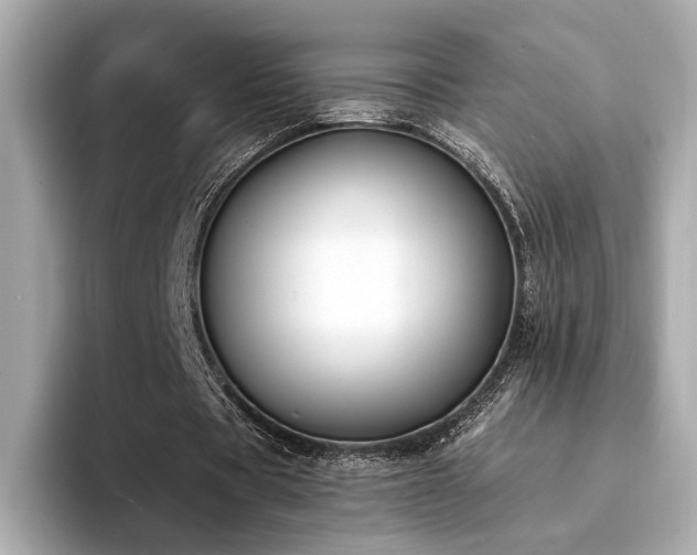 X0000094330529200711021411