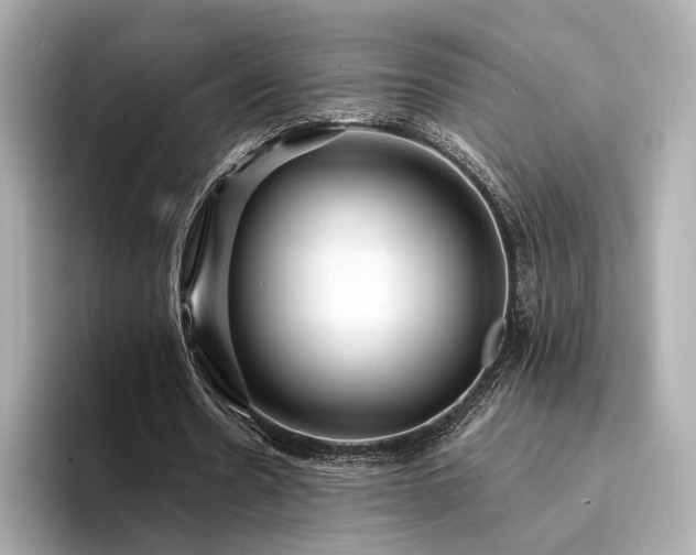 X0000094330530200711021411