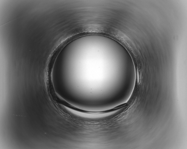 X0000094330531200711021411