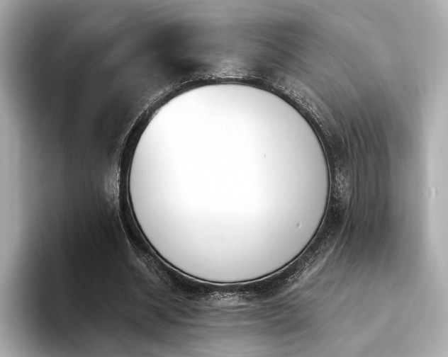 X0000094330534200711021411