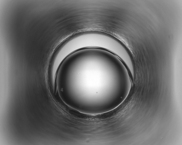 X0000094330535200711021411