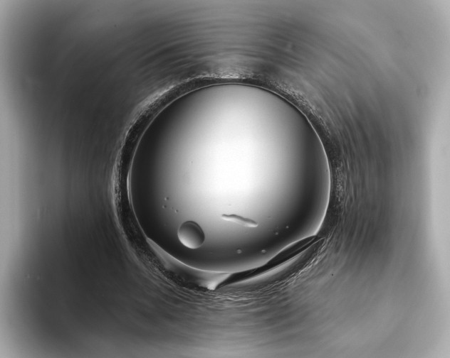 X0000094330536200711021411