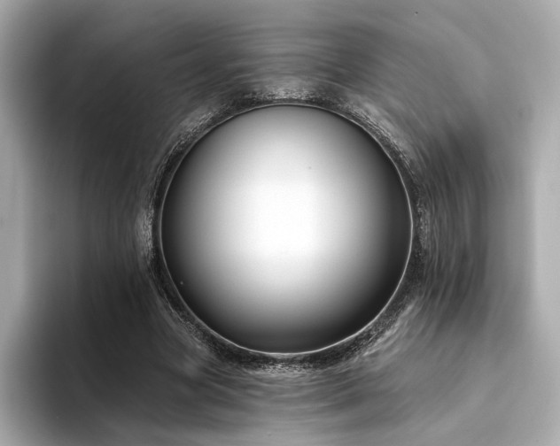 X0000094330537200711021411