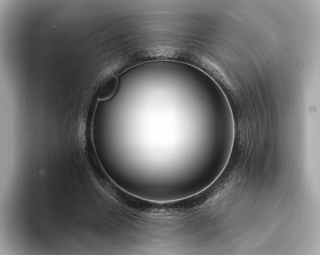 X0000094330538200711021411