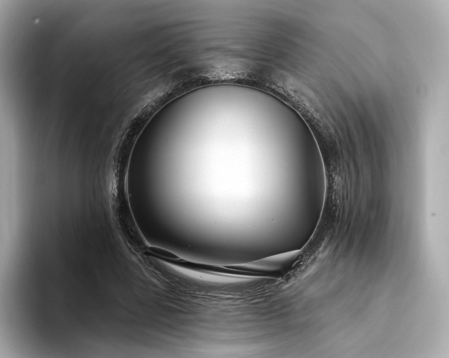 X0000094330539200711021412