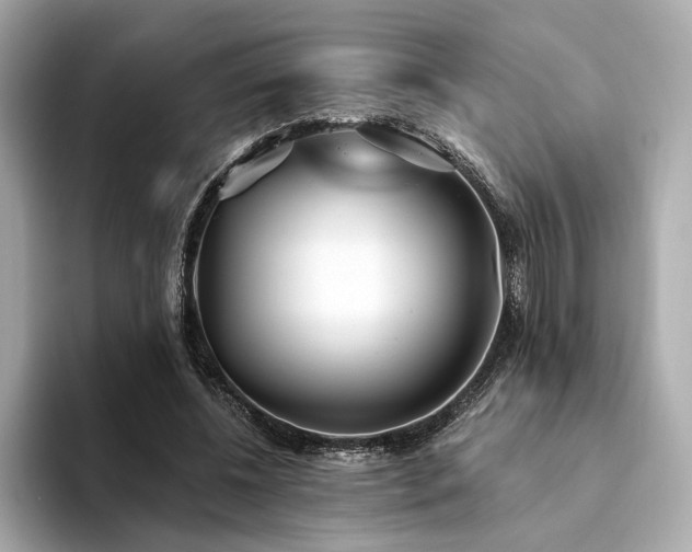 X0000094330540200711021412