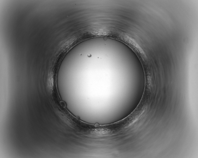 X0000094330541200711021412