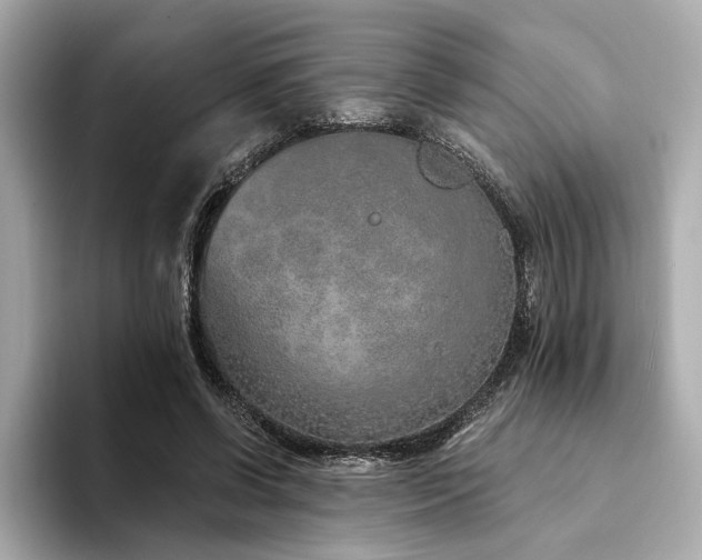 X0000094330542200711021412