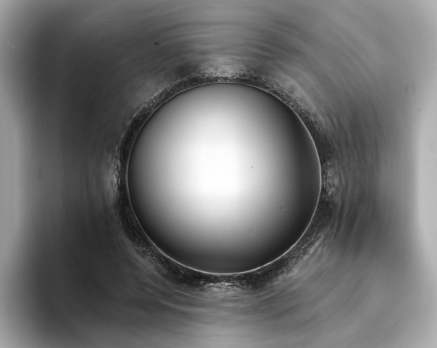 X0000094330544200711021412