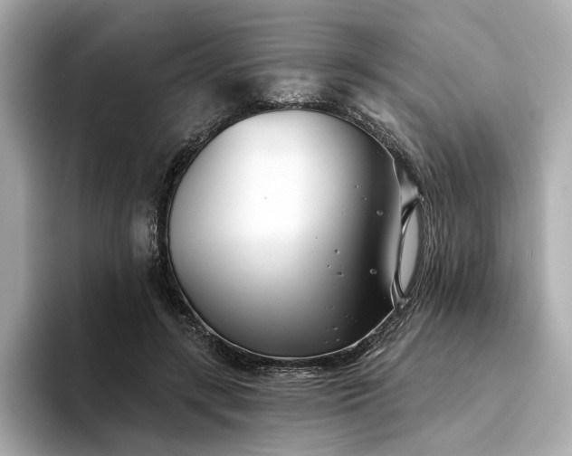 X0000094330547200711021412