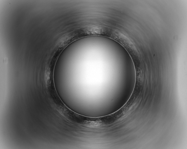 X0000094330548200711021412