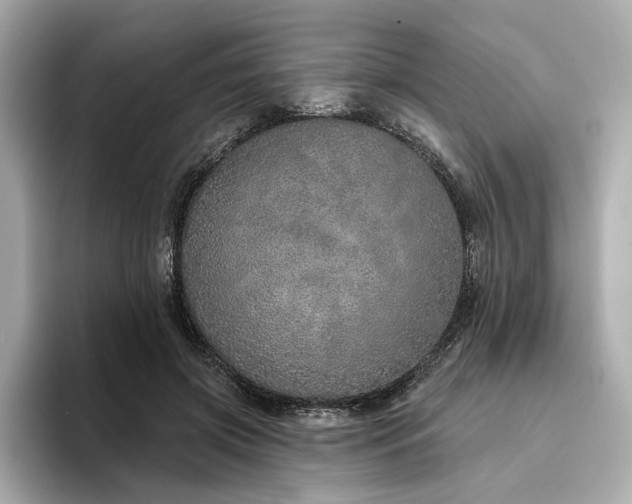 X0000094330549200711021412