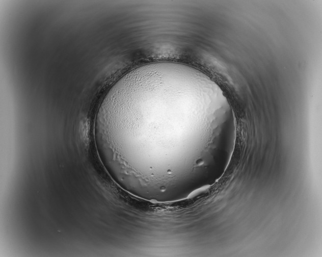 X0000094330550200711021412