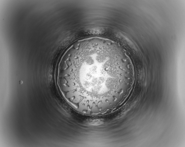 X0000094330553200711021412