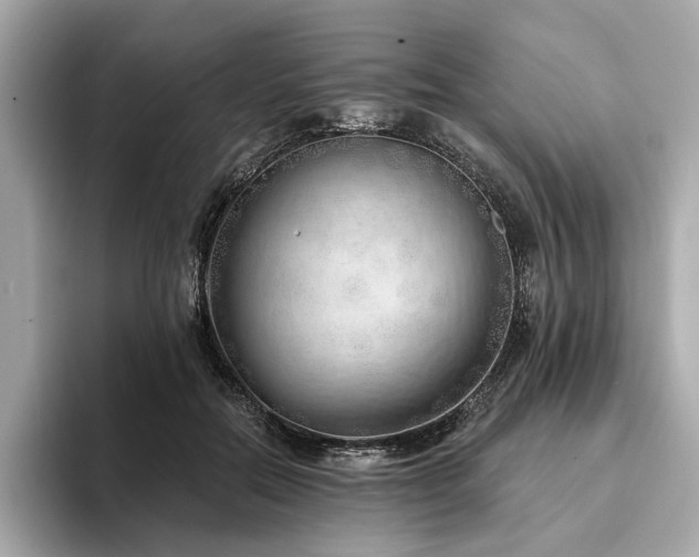 X0000094330554200711021412