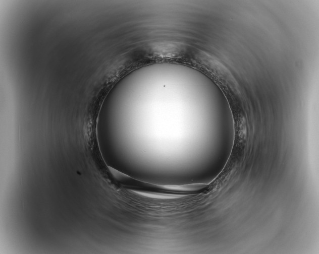X0000094330559200711021412
