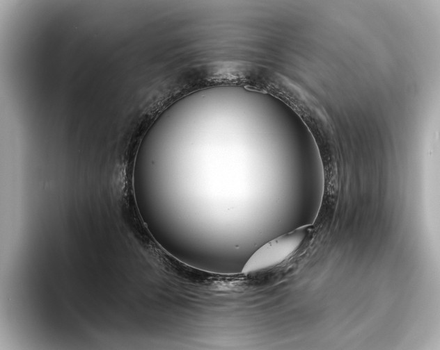 X0000094330560200711021412