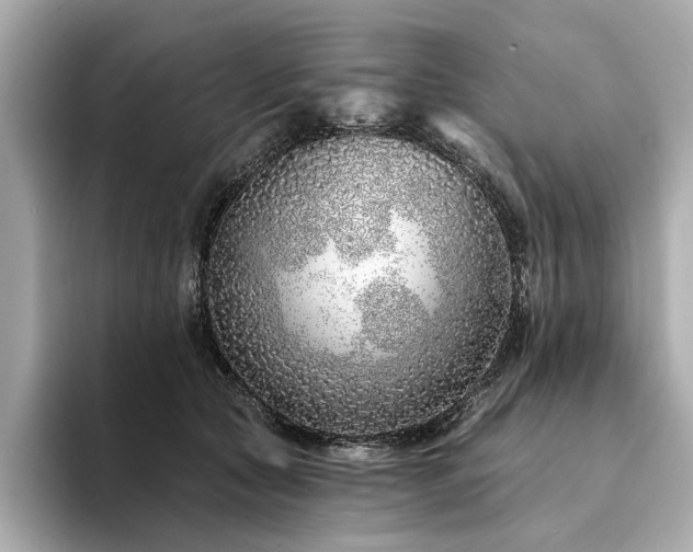 X0000094330561200711021412