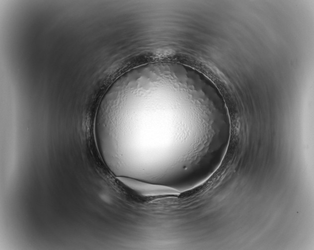 X0000094330565200711021412
