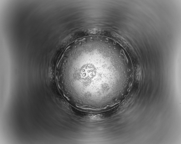 X0000094330569200711021412