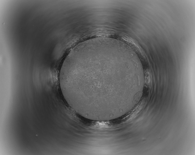 X0000094330573200711021412