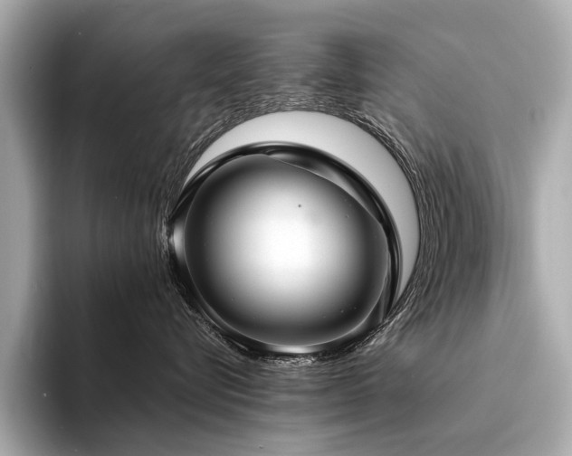 X0000094330576200711021412