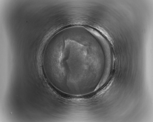 X0000094330577200711021411