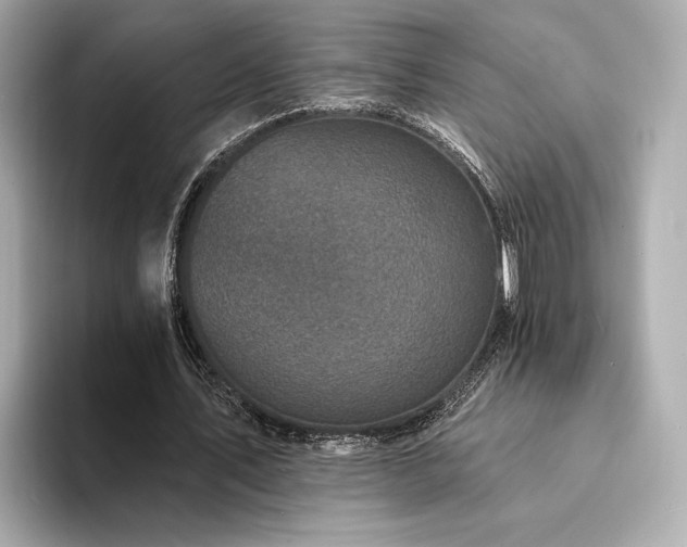 X0000094330579200711021411
