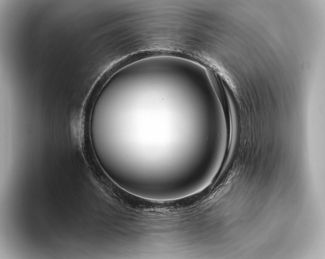 X0000094330580200711021411