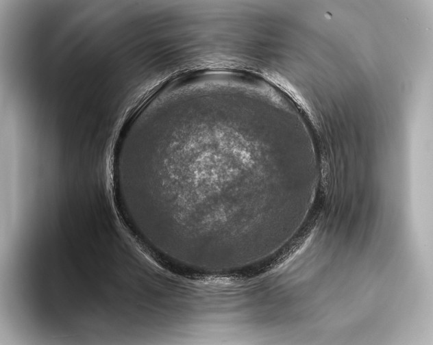 X0000094330581200711021411