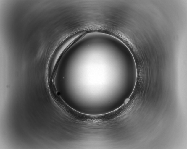 X0000094330582200711021411
