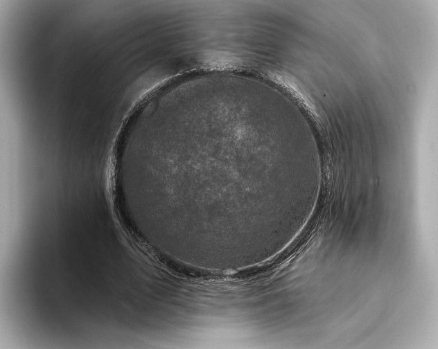 X0000094330583200711021411
