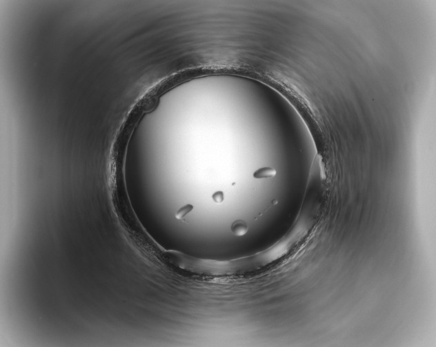 X0000094330584200711021411
