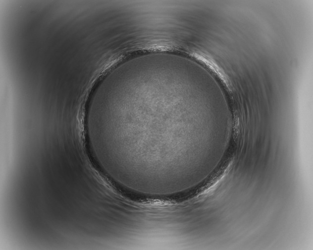 X0000094330585200711021411