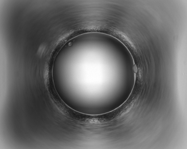 X0000094330588200711021411