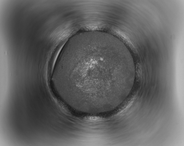 X0000094330590200711021411